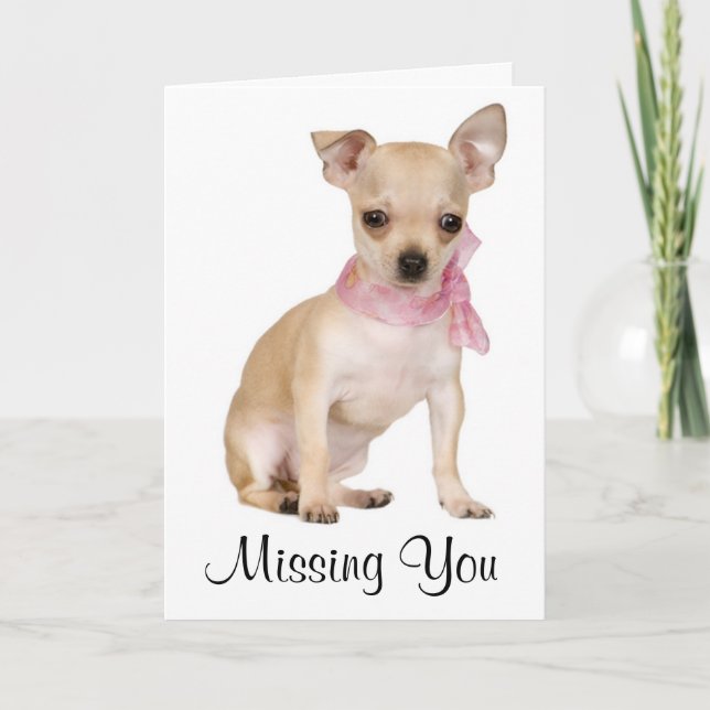 Kortet Chihuahua Puppy Hund Greeting Card saknas Kort (Framsida)