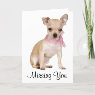 Kortet Chihuahua Puppy Hund Greeting Card saknas Kort