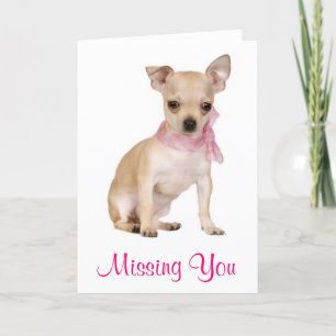 Kortet Chihuahua Puppy Hund Greeting Card saknas Kort