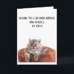 Kortet Cute Cat Birthday Greeting Card Kort<br><div class="desc">Lustigt Cute Cat Birthday-hälsningskort för kattälskare i ditt liv. Det här söta hälsningskortet är ett perfekt sätt att önska Grattis på födelsedagen till en vän,  medarbetare,  familjemedlem eller en speciell person.</div>