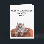 Kortet Cute Cat Birthday Greeting Card Kort<br><div class="desc">Lustigt Cute Cat Birthday-hälsningskort för kattälskare i ditt liv. Det här söta hälsningskortet är ett perfekt sätt att önska Grattis på födelsedagen till en vän,  medarbetare,  familjemedlem eller en speciell person.</div>