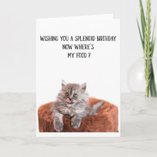 Kortet Cute Cat Birthday Greeting Card Kort