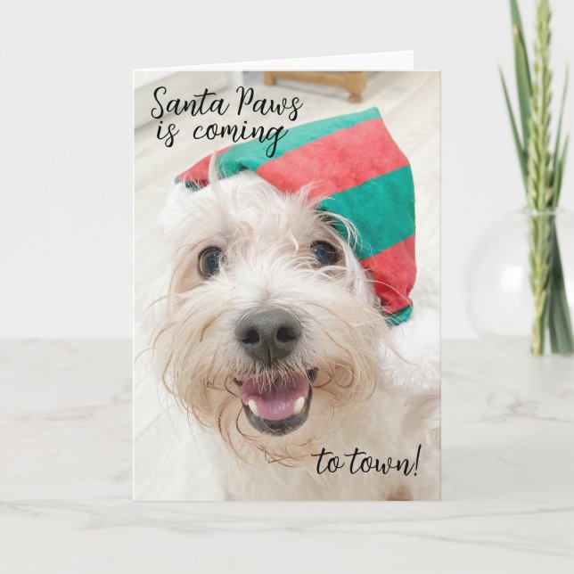 Kortet Cute fluffy white hund christmas Helgkort (Framsida)