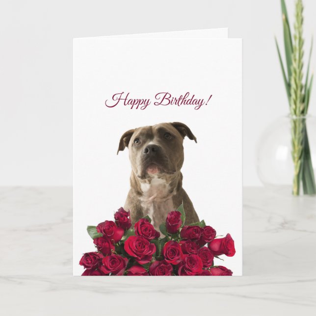 Kortet Cute Pit-tjur Dog Ro Grattis på födelsedage Kort (Framsida)
