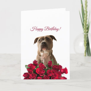 Kortet Cute Pit-tjur Dog Ro Grattis på födelsedage Kort