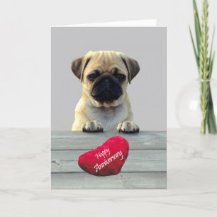 Kortet Cute Pug Wishing Lycklig-årsjubileum Kort