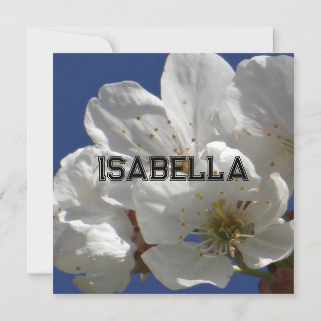 Kortet Cute White Flowers, intilliggande hälsning (Framsida)