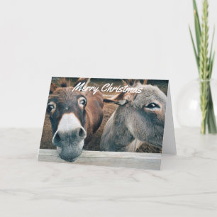 Kortet - Donkey Helgkort