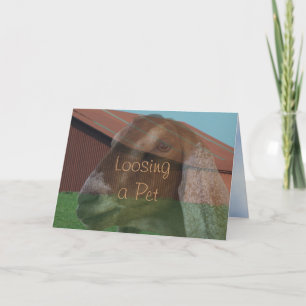 Kortet eller några för sympati för Nubian Kort