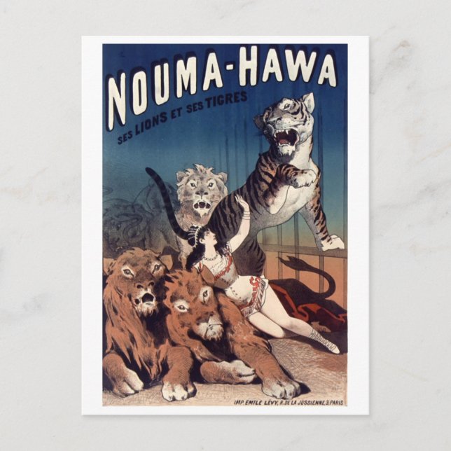 Kortet för cirkusvisning vykort (Framsida)