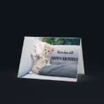 Kortet för populär katt födelsedag  kort<br><div class="desc">Lustigt Cat med ett ögonlockskort från födelsedagsmorgonen för kattälskarna i ditt liv. Det här söta hälsningskortet är ett perfekt sätt att önska Grattis på födelsedagen till en vän,  medarbetare,  familjemedlem eller en speciell person.</div>