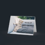 Kortet för populär katt födelsedag  kort<br><div class="desc">Lustigt Cat med ett ögonlockskort från födelsedagsmorgonen för kattälskarna i ditt liv. Det här söta hälsningskortet är ett perfekt sätt att önska Grattis på födelsedagen till en vän,  medarbetare,  familjemedlem eller en speciell person.</div>