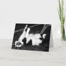 Kortet för skrikande katt kort