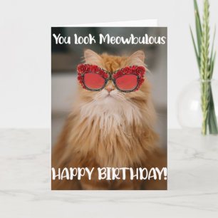 Kortet Glamous Cat Birthday Greeting Card  Kort