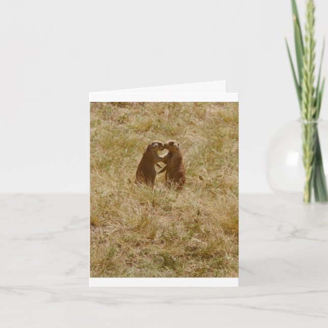 Kortet har det gulliga fotoet av 2 präriehund kort (Framsida)