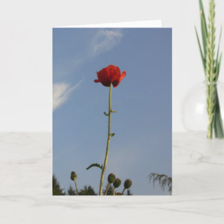 Kortet Himmel Begränsit Greeting Card Kort