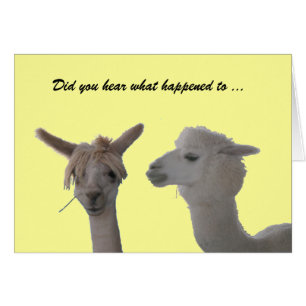 Kortet - hörde du… händelse hälsningskort