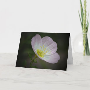 Kortet Primrose Wildbloms Art Note Card Kort