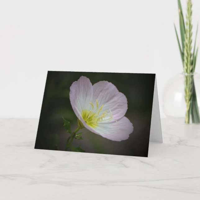 Kortet Primrose Wildbloms Art Note Card Kort (Framsida)