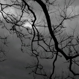 Kortet SPOOKY TRÄD HAPPY HALLOWEEN-registrerat häl Kort