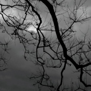 Kortet SPOOKY TRÄD HAPPY HALLOWEEN-registrerat häl Kort