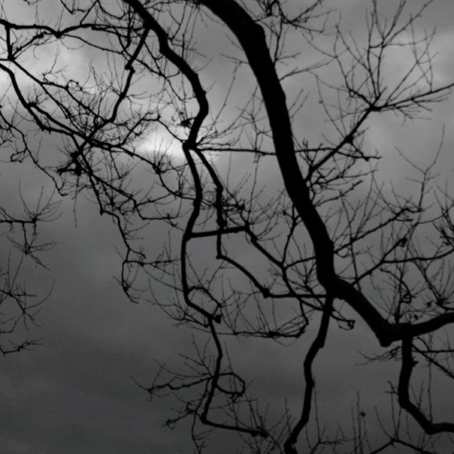 Kortet SPOOKY TRÄD HAPPY HALLOWEEN-registrerat häl Kort (Skapare uppladdad)