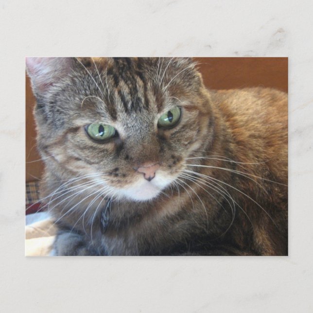 Kortet Vykort (Framsida)