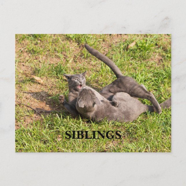 Kortet Vykort (Framsida)