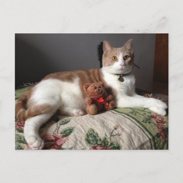 Kortet Vykort (Framsida)