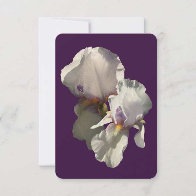 Kortets detaljerade fotografi av ett vitt isläge (Framsida)