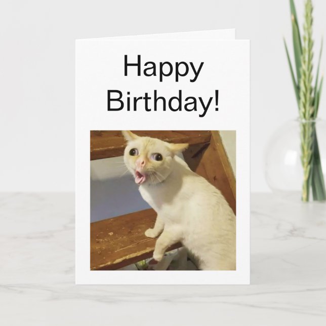 Kortets klumpar kort (Framsida)