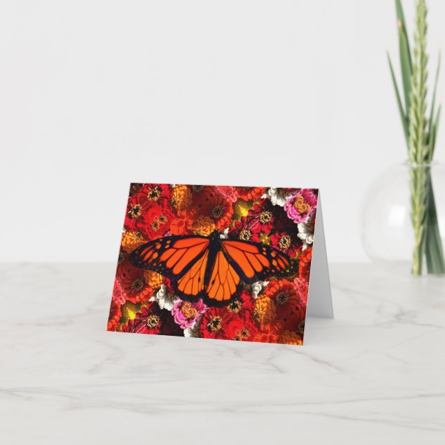 Kortets monarch Butterfly Zinnias Tack Kort (Framsida)