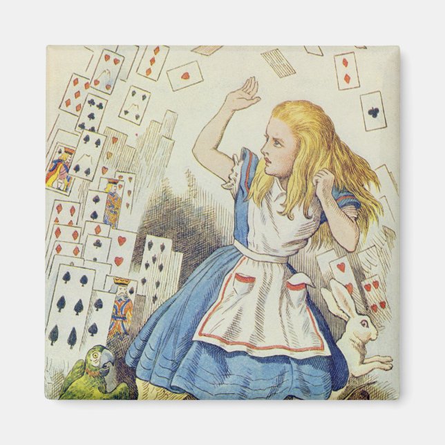 Kortets skugga magnet (Framsidan)
