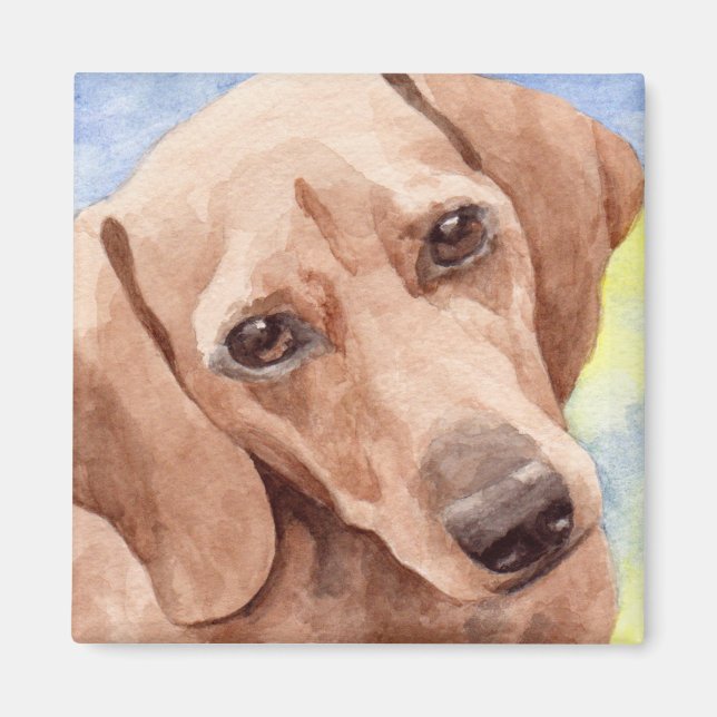 Korthårig Dachshund Hundporträtt Magnet (Framsidan)