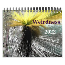Korthet 2022 Kalender
