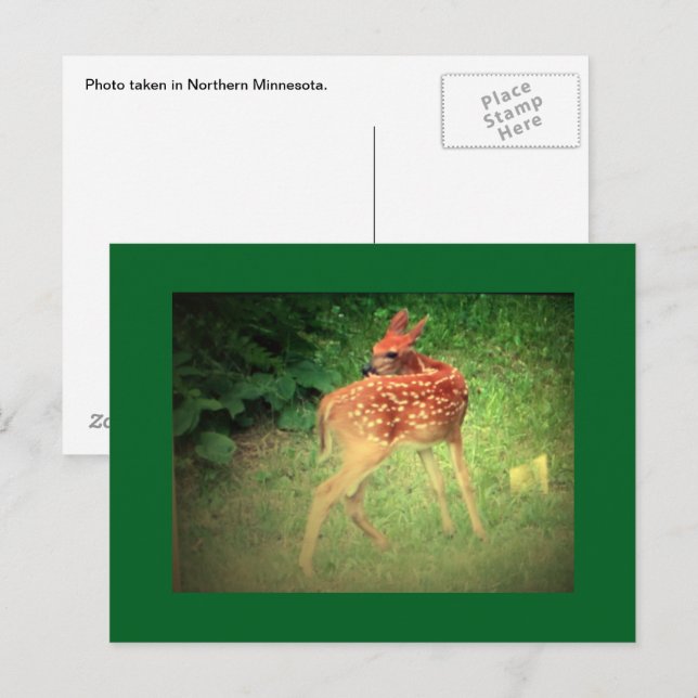 Korthund Postkort Vykort (Fram/baksida)