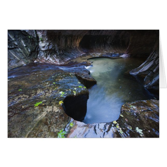 Kortplatsskannern för Tunnelbanan Hälsningskort (Framsidan Horizontal)