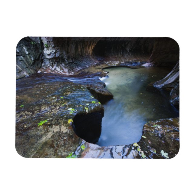 Kortplatsskannern för Tunnelbanan Magnet (Horisontell)