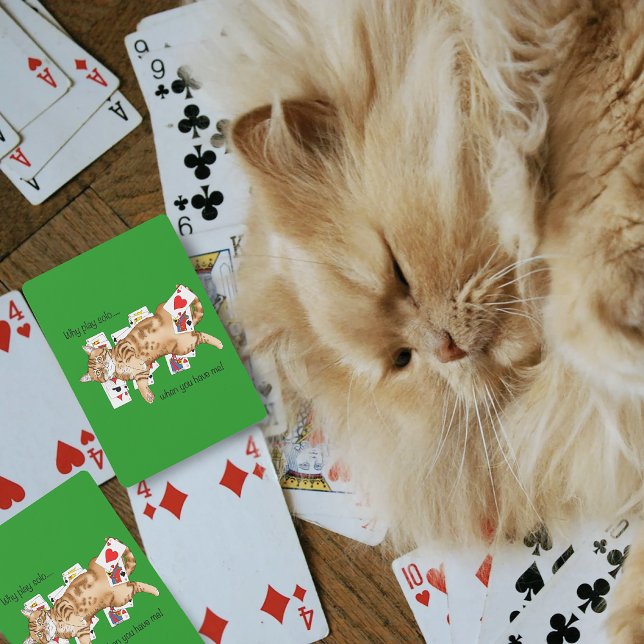 Kortspel med rolig orange tabbykatt som spelar pat casinokort (Skapare uppladdad)