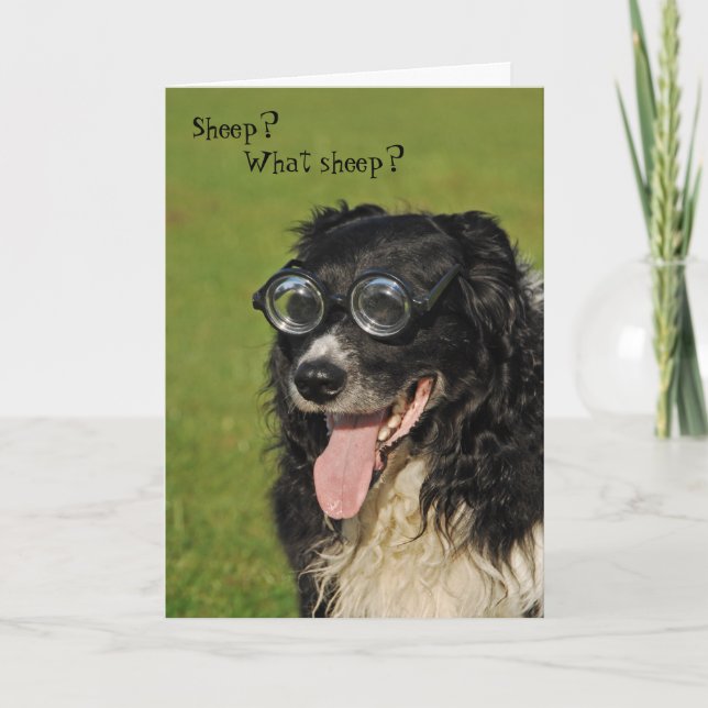 Kortsynt Border Collie-kort Kort (Framsida)
