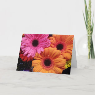 Kortuppsättningar för Rosa av Orange för Gerber Da Anteckningskort