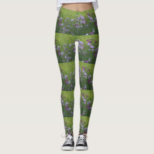 Kosmea, Vild Flowers och rapsfrön Fält Legging