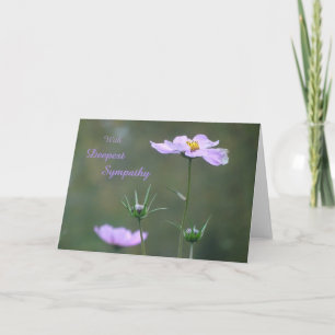 Kosmea, Vildens höstblommor - sympati - hälsningsk Kort