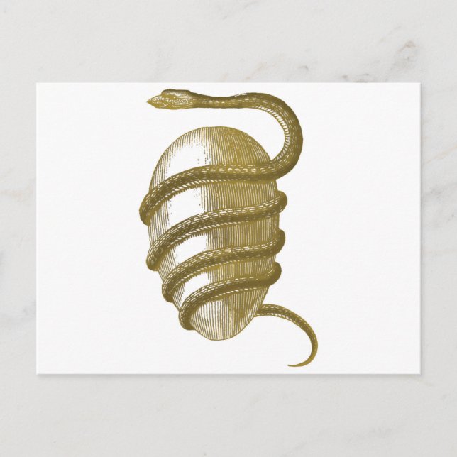 Kosmiägg Vykort (Framsida)