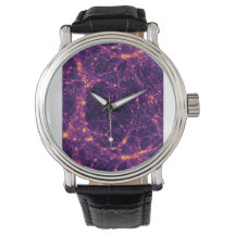 Kosmiskt nätverk
