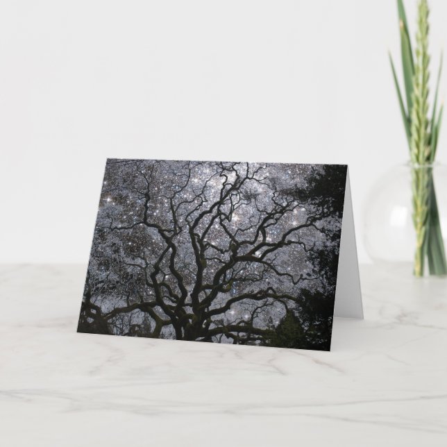 Kosmiskt träd - stjärnan samla i en klunga helgkort (Framsida)