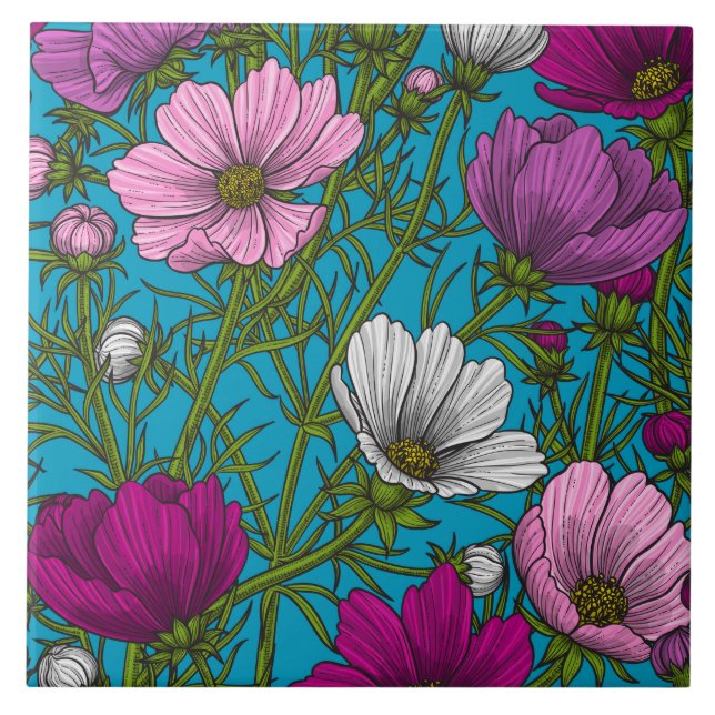 Kosmos blandning i blått kakelplatta (Framsidan)