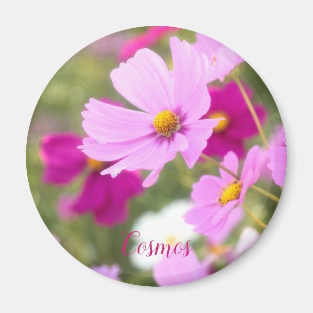 Kosmos [Circle Magnet] Magnet (Framsidan)