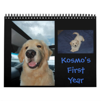 Kosmos första år kalender
