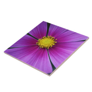 Kosmos-plattans centrum kakelplatta